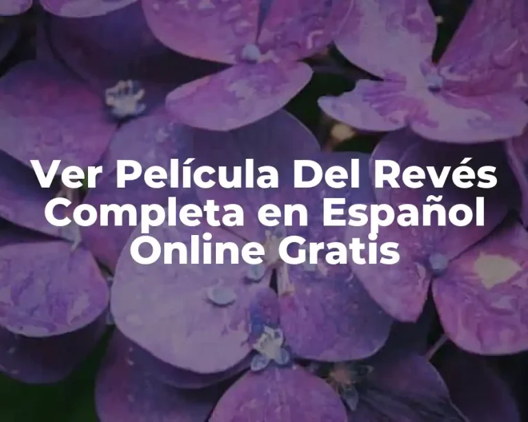 Ver Película Del Revés Completa en Español Online Gratis