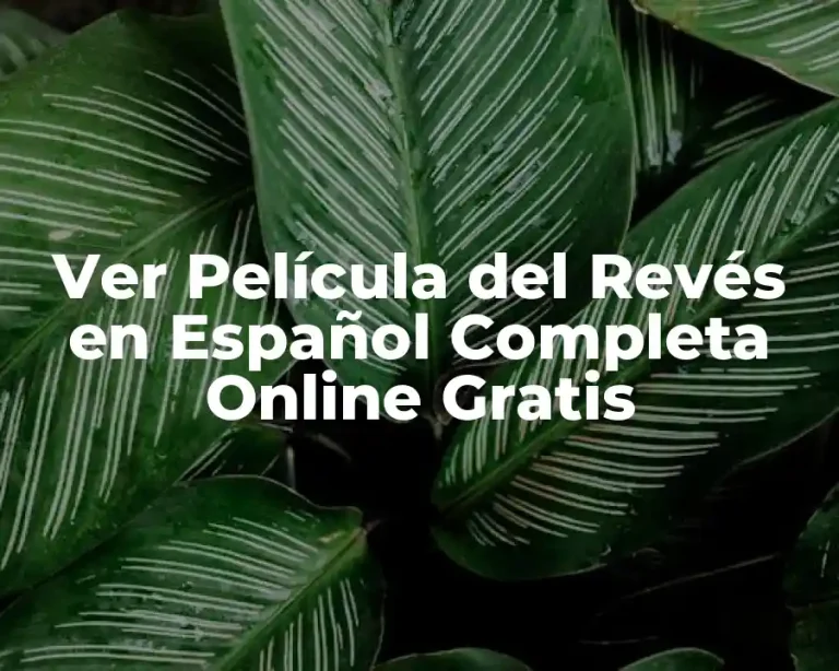 Ver Película del Revés en Español Completa Online Gratis