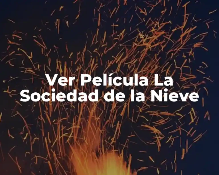 Ver Película La Sociedad de la Nieve