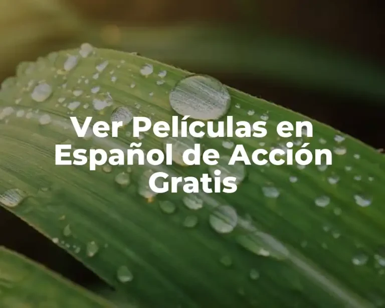 Ver Películas en Español de Acción Gratis