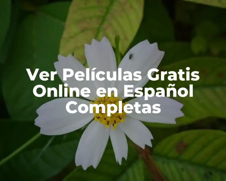 Ver Películas Gratis Online en Español Completas