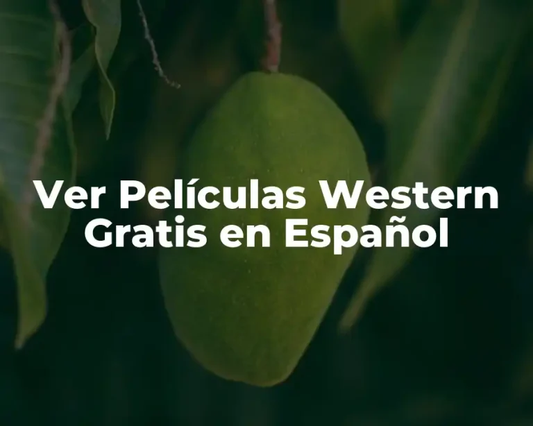 Ver Películas Western Gratis en Español