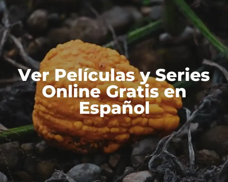Ver Películas y Series Online Gratis en Español