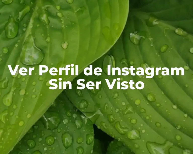 Ver Perfil de Instagram Sin Ser Visto