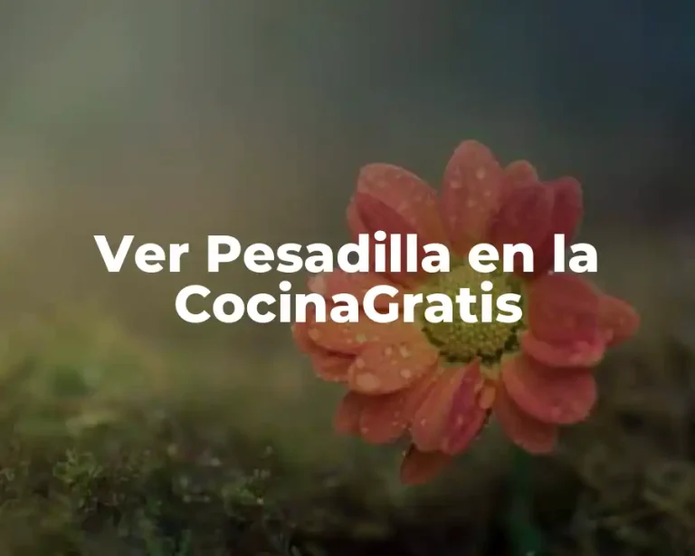Ver Pesadilla en la CocinaGratis