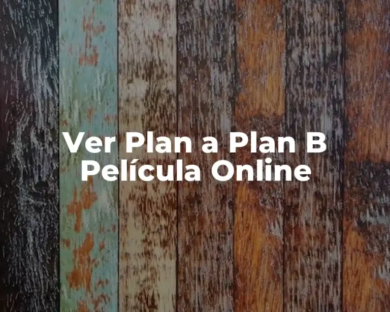 Ver Plan a Plan B Película Online