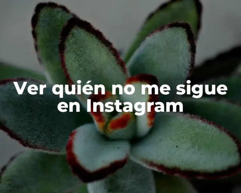 Ver quién no me sigue en Instagram