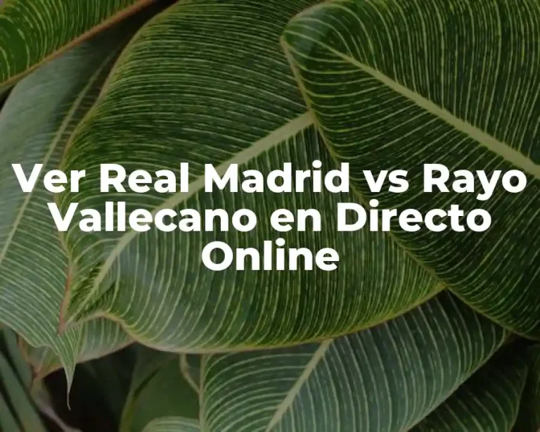 Ver Real Madrid vs Rayo Vallecano en Directo Online