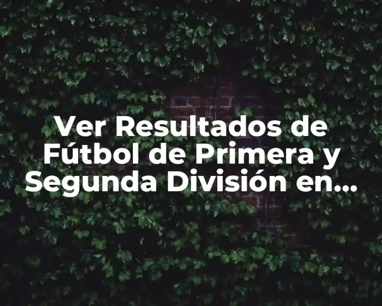 Ver Resultados de Fútbol de Primera y Segunda División en Vivo