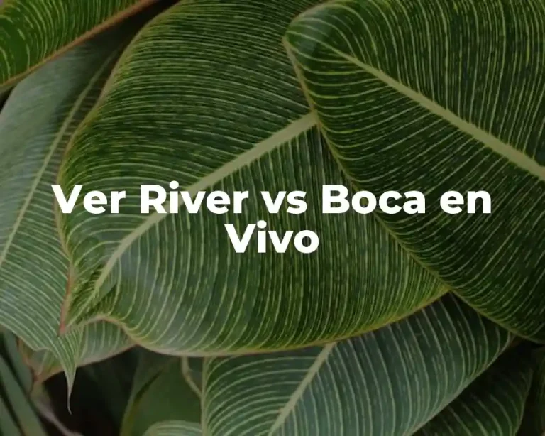 Ver River vs Boca en Vivo