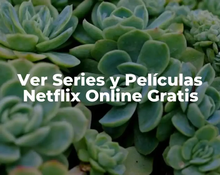 Ver Series y Películas Netflix Online Gratis