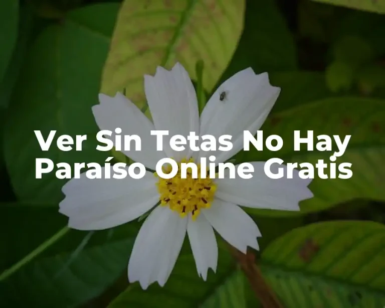 Ver Sin Tetas No Hay Paraíso Online Gratis