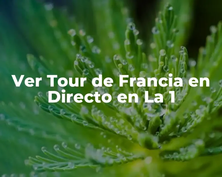Ver Tour de Francia en Directo en La 1