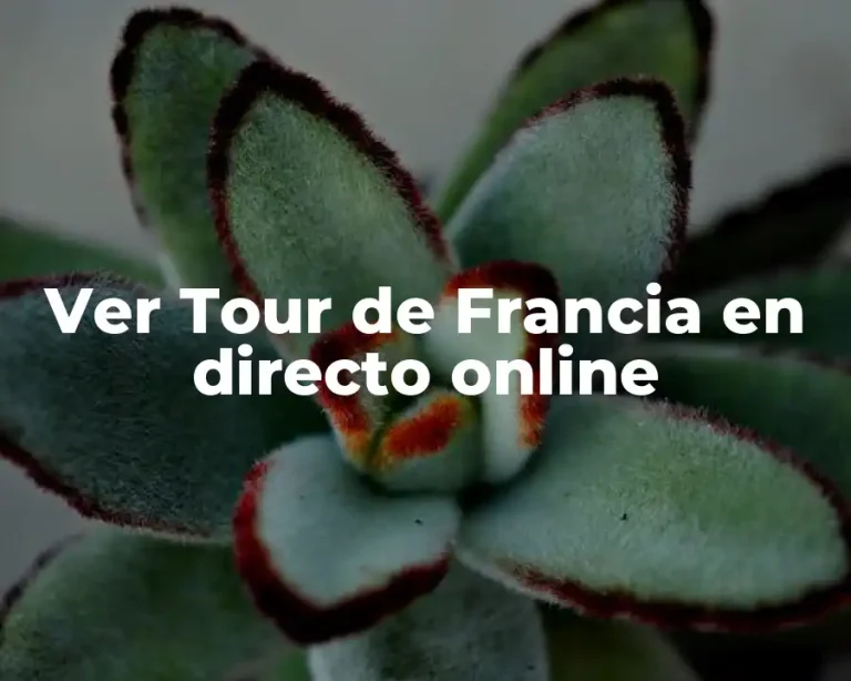 Ver Tour de Francia en directo online