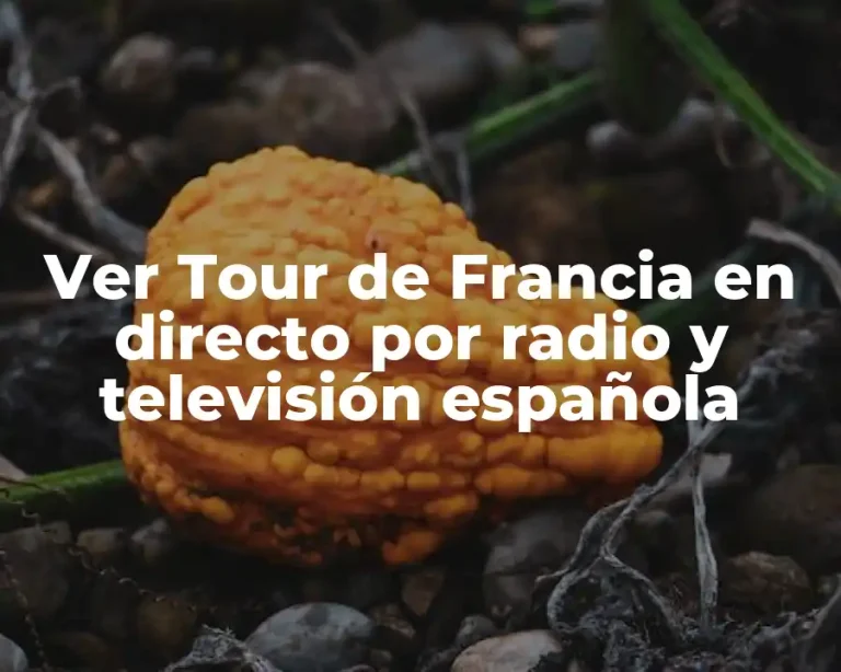 Ver Tour de Francia en directo por radio y televisión española