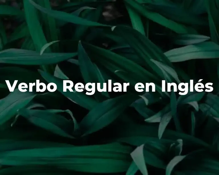 Verbo Regular en Inglés