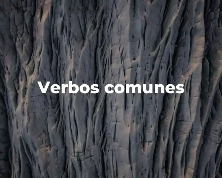 Verbos comunes