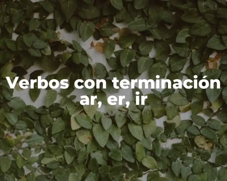 Verbos con terminación ar, er, ir