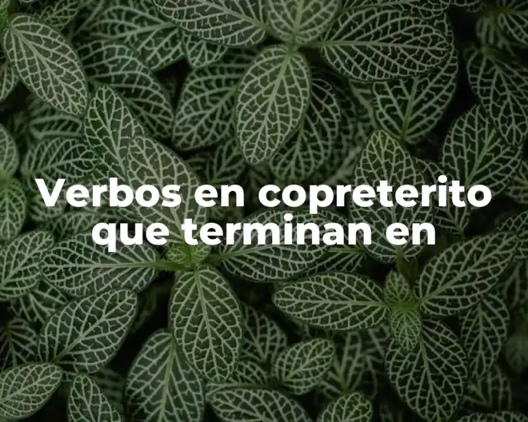 Verbos en copreterito que terminan en