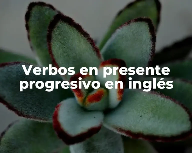 Verbos en presente progresivo en inglés
