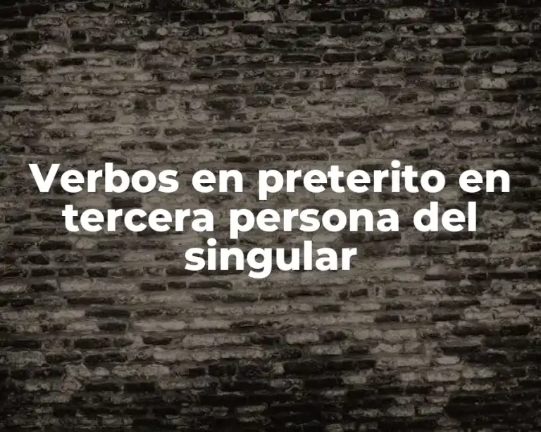 Verbos en preterito en tercera persona del singular