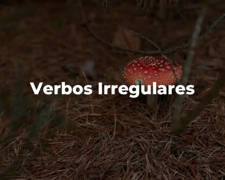 Verbos Irregulares