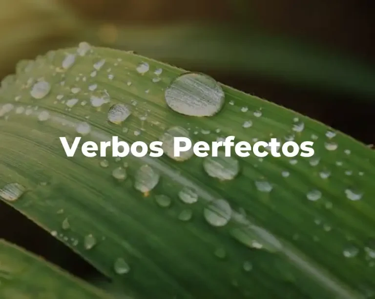 Verbos Perfectos