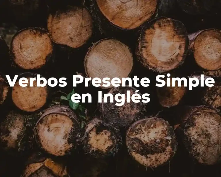 Verbos Presente Simple en Inglés