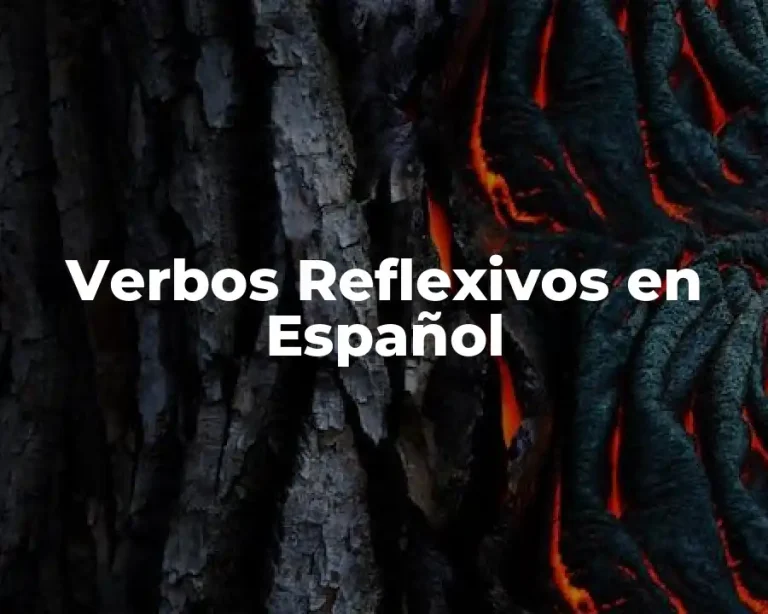 Verbos Reflexivos en Español