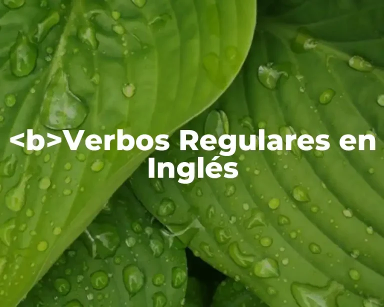 <b>Verbos Regulares en Inglés