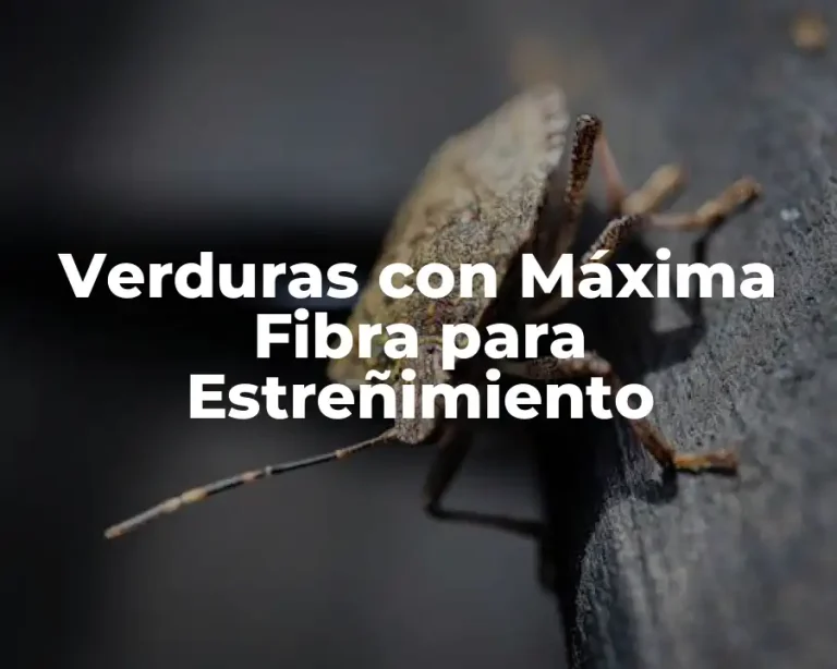 Verduras con Máxima Fibra para Estreñimiento