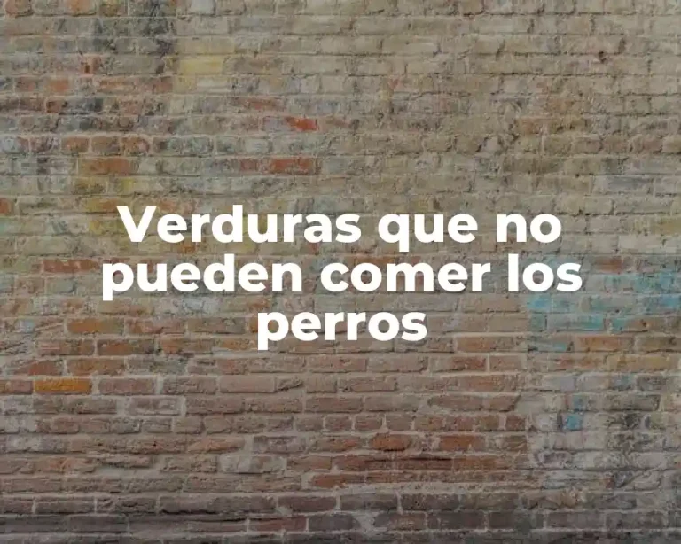 Verduras que no pueden comer los perros