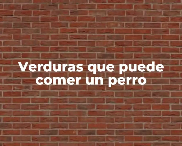 Verduras que puede comer un perro