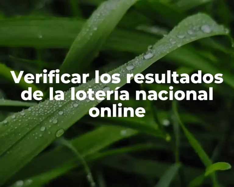 Verificar los resultados de la lotería nacional online