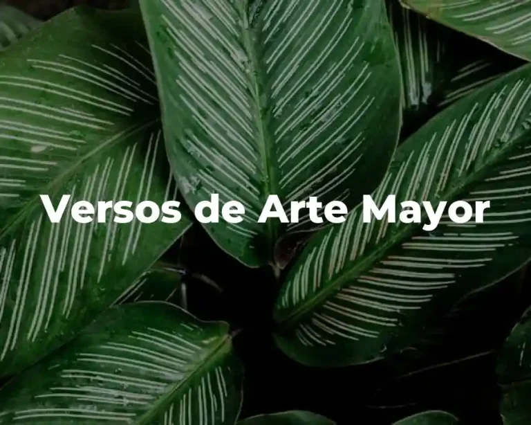 Versos de Arte Mayor