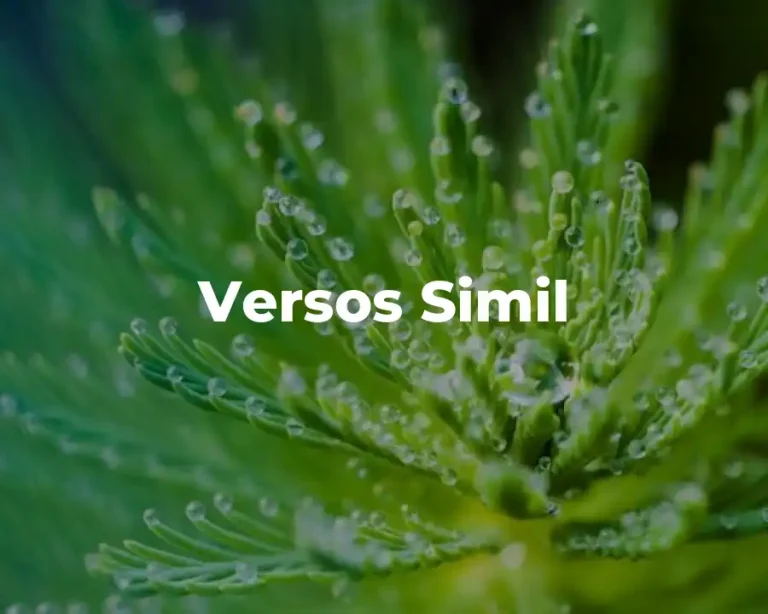 Versos Simil