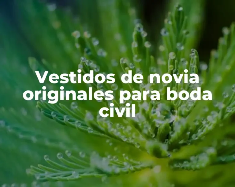 Vestidos de novia originales para boda civil