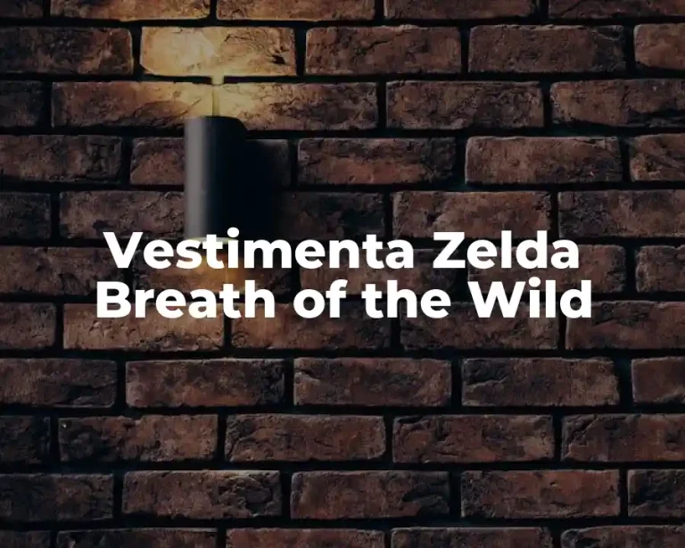 Vestimenta Zelda Breath of the Wild