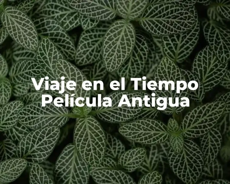 Viaje en el Tiempo Película Antigua