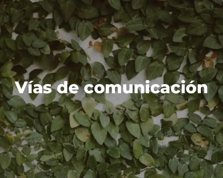 Vías de comunicación