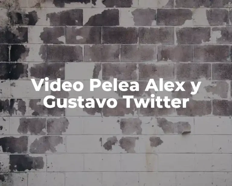 Video Pelea Alex y Gustavo Twitter