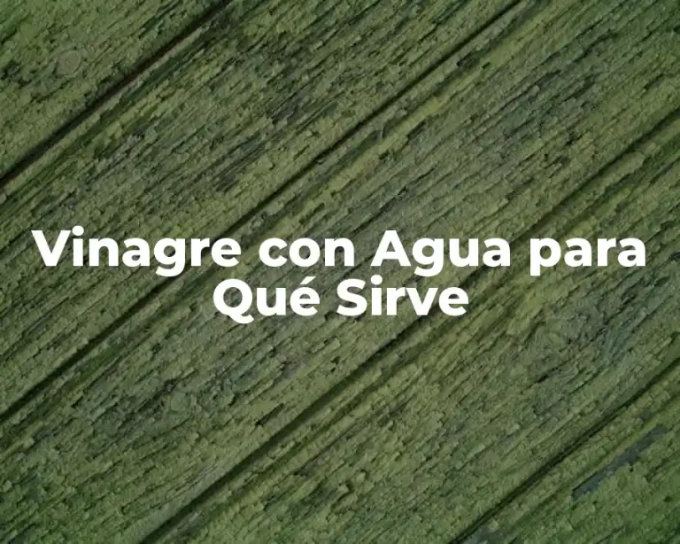 Vinagre con Agua para Qué Sirve