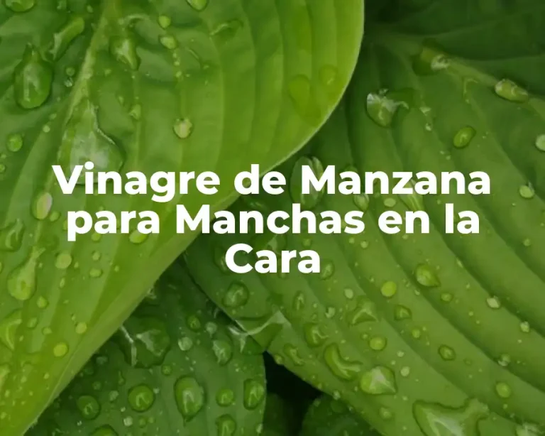 Vinagre de Manzana para Manchas en la Cara