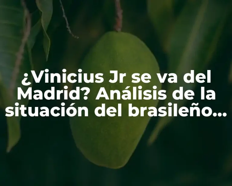 ¿Vinicius Jr se va del Madrid? Análisis de la situación del brasileño en el Real Madrid