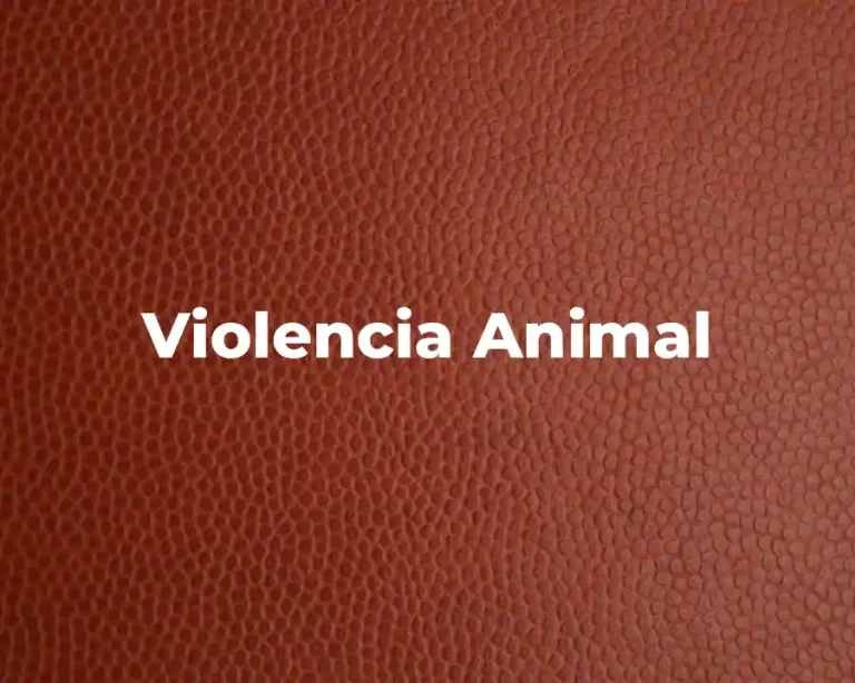 Violencia Animal