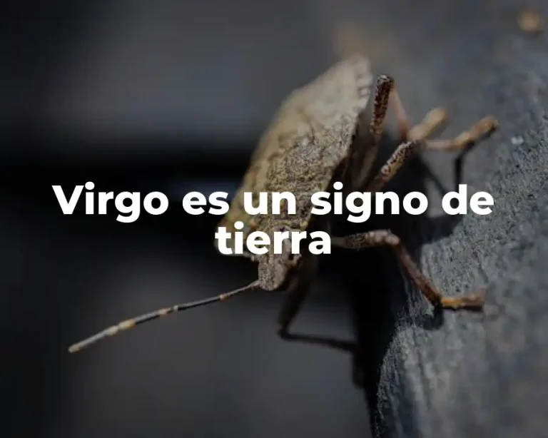 Virgo es un signo de tierra