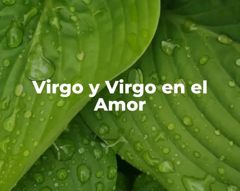 Virgo y Virgo en el Amor