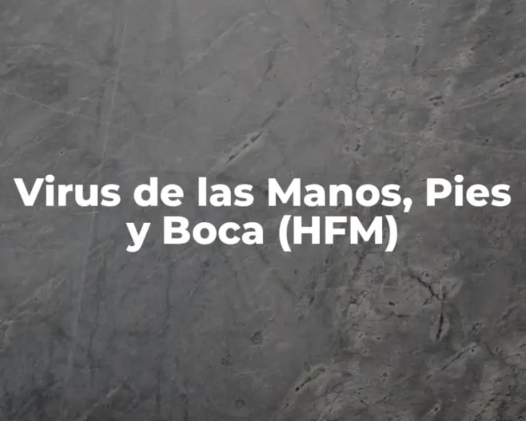 Virus de las Manos, Pies y Boca (HFM)