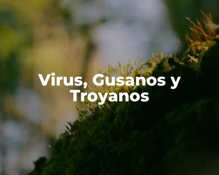 Virus, Gusanos y Troyanos