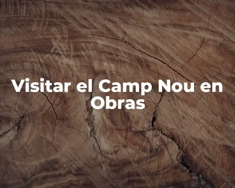 Visitar el Camp Nou en Obras